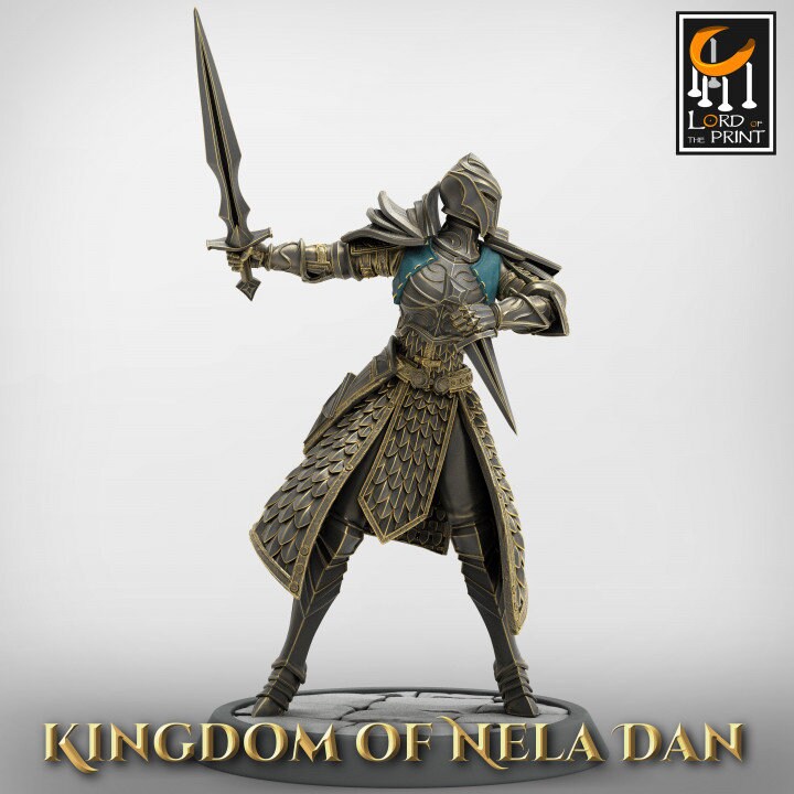 High Elf Helm Ranger Fighter Sword Dagger, Moon Elf, Eladrin Unpainted | 28mm, 32mm,54mm,75mm Scales | Dungeons and Dragons | Pathfinder |