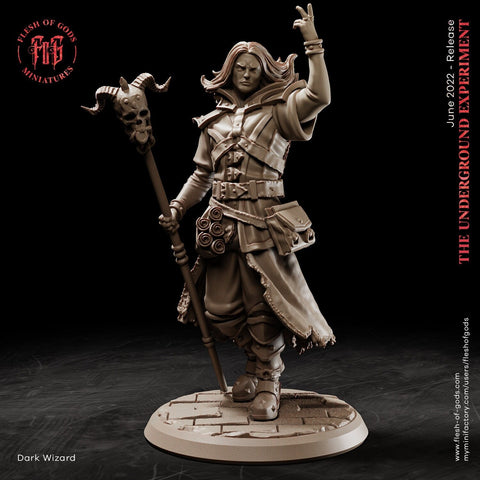 Dark Wizard, Warlock, Sorcerer |28mm |32mm Scale | 54mm |75mm|100mm Scale- Player Character Mini - Minis-D&D 5e_ Pathfinder Sexy Figurine