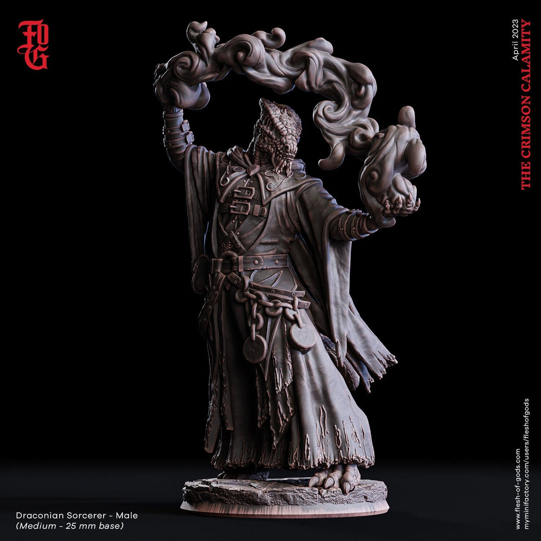 Male Dragonborn Sorcerer, Wizard, Warlock |28mm, 32mm,54mm,75mm, 100mm Scale Resin Miniature|Dungeons & Dragons |Pathfinder|Flesh of Gods