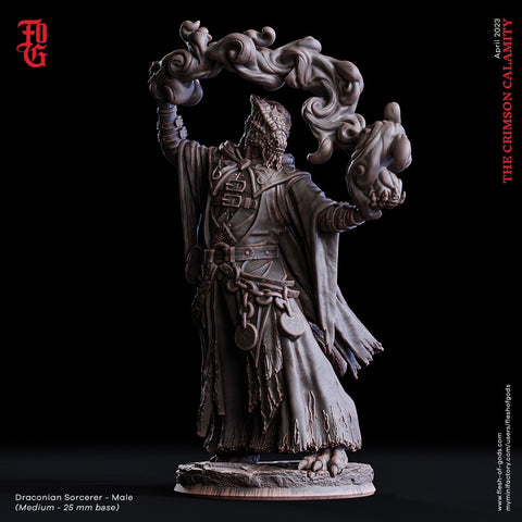 Male Dragonborn Sorcerer, Wizard, Warlock |28mm, 32mm,54mm,75mm, 100mm Scale Resin Miniature|Dungeons & Dragons |Pathfinder|Flesh of Gods