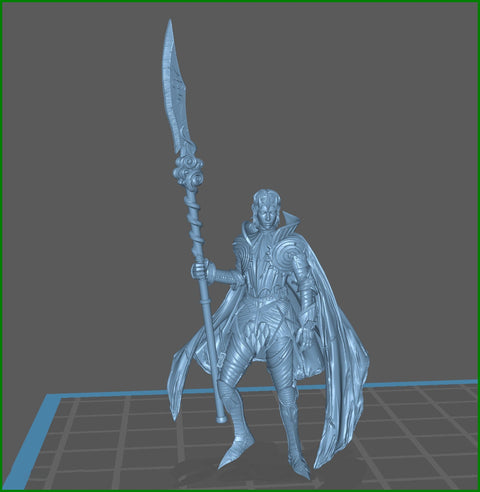 Human Fighter Polearm Master Paladin Adventurer PC or NPC | 28mm, 32mm, 75mm Scales | Dungeons and Dragons | Pathfinder | Flesh of Gods