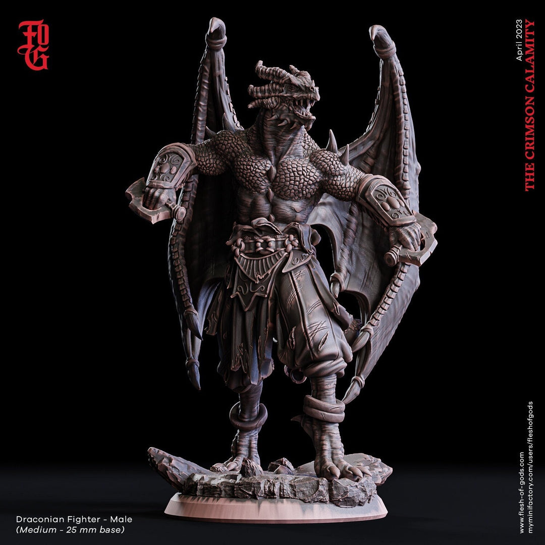 Dragonborn Fighter Brawler, Monk | 28mm, 32mm, 75mm Scale Resin Miniature | Dungeons and Dragons D&D 5e | Pathfinder | Flesh of Gods