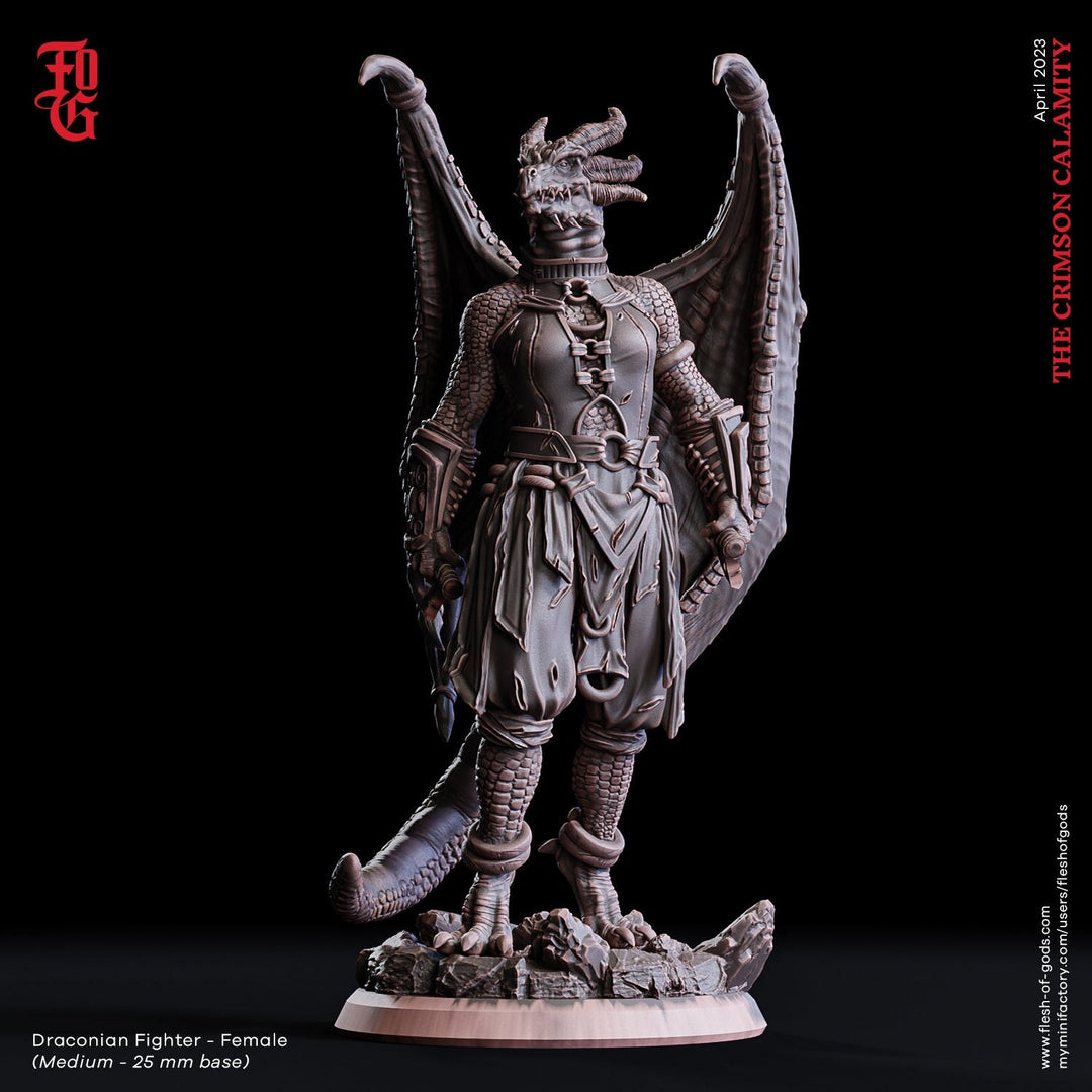Female Dragonborn Fighter Brawler, Monk | 28mm, 32mm, 75mm Scale Resin Miniature | Dungeons and Dragons D&D 5e | Pathfinder | Flesh of Gods
