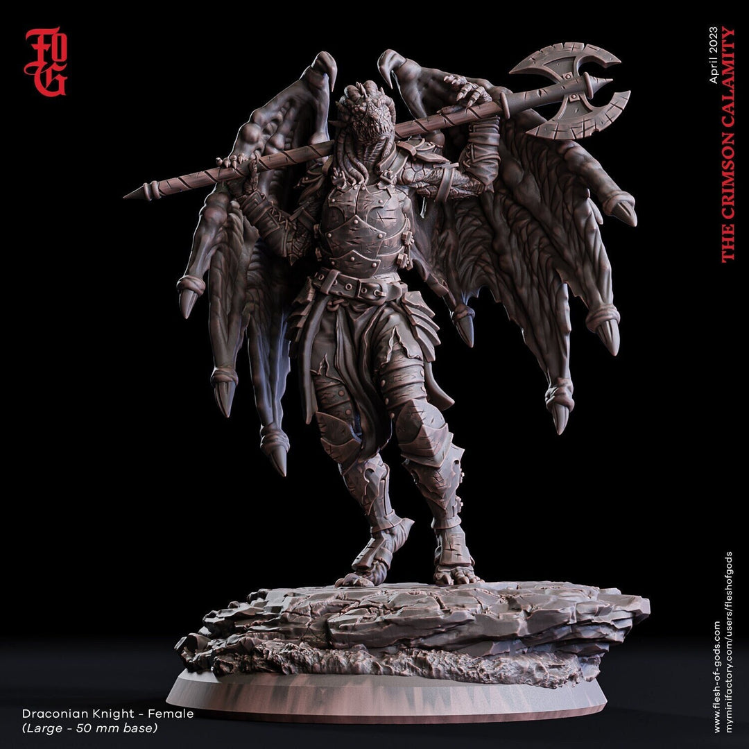 Female Dragonborn Paladin 2handed Axe | 28mm, 32mm, 54mm,75mm,100mm Scale Resin Miniature Dungeons and Dragons D&D Pathfinder |Flesh of Gods