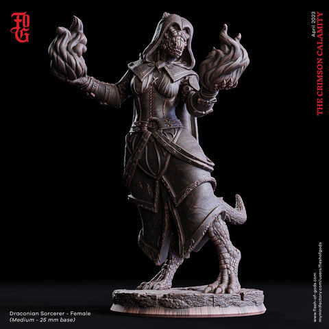 Female Dragonborn Sorcerer, Wizard, Warlock | 28mm, 32mm, 75mm Scale Resin Figure | Dungeons & Dragons DnD 5e | Pathfinder | Flesh of Gods