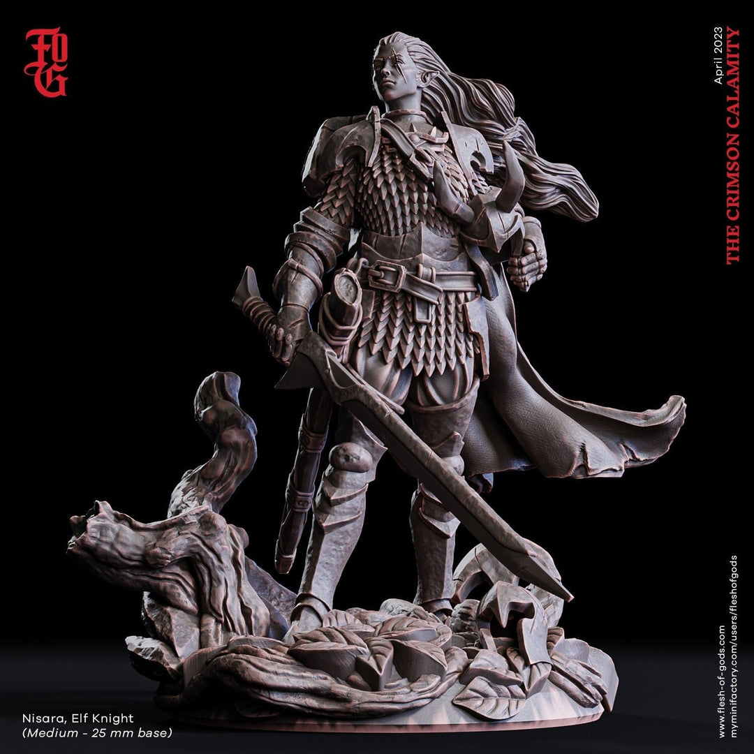 Female Elf Fighter Battle Master, Ranger Paladin PC NPC | 28mm, 32mm,54mm, 75mm,100mm Scale Resin Mini | Dungeons and Dragons| Flesh of Gods