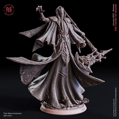 Necromancer, Wizard, Warlock, Sorcerer | 28mm, 32mm,75mm,100mm Scales |Player Character Mini D&D5e Pathfinder Figurine |Flesh of Gods