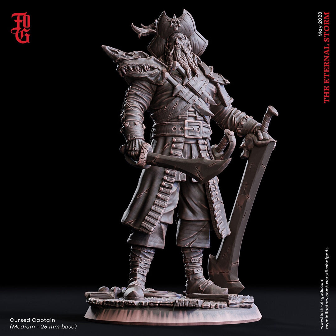Swashbuckler Pirate Captain Fighter | 28mm, 32mm,54mm,75mm,100mm Scales | Player Character Mini -D&D 5e Pathfinder Figurine |Flesh of Gods