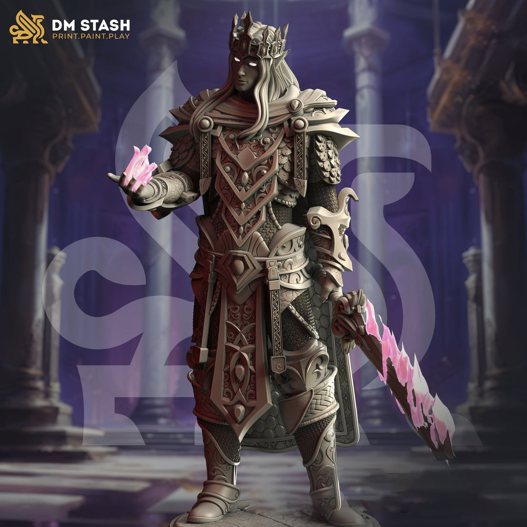 High Elf King Lord Paladin, Eldritch Knight Miniature | 28mm, 32mm,54mm,75mm, 100mm Scales | Dungeons and Dragons Pathfinder |DM Stash