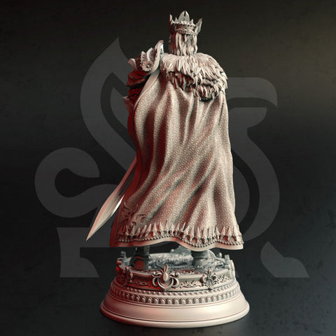 Human Paladin King Unpainted Miniature | 28mm, 32mm, 75mm, 100mm Scales | Pathfinder Figure | DnD | Figurine unpainted |