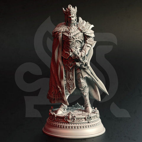 Human Paladin King Unpainted Miniature | 28mm, 32mm, 75mm, 100mm Scales | Pathfinder Figure | DnD | Figurine unpainted |