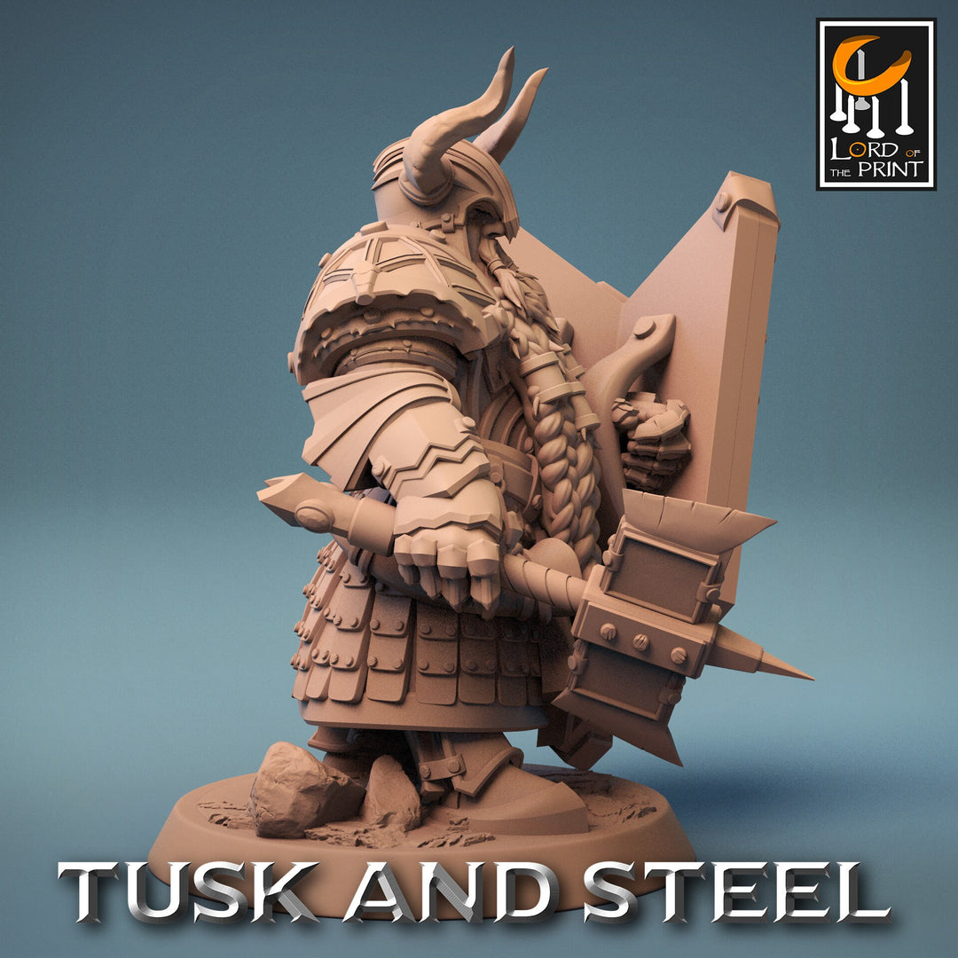 Dwarf Fighter Paladin Axe &amp; Shield Unpainted Model | 28mm, 32mm,54mm,75mm,100mm Scales | Dungeons and Dragons Pathfinder Lord of The Print