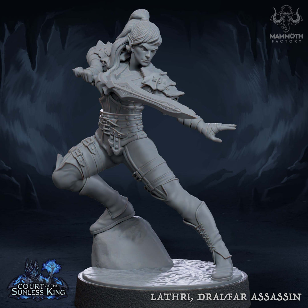 Elf Assassin Rogue PC / NPC Unpainted | 28mm,32mm,54mm,75mm,100mm Scale | Resin Dungeons and Dragons D&D 5e | Pathfinder |