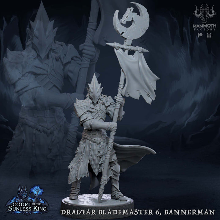 Dark Elf Fighter Ranger Bannerman PC / NPC Unpainted | 28mm,32mm,54mm,75mm,100mm Scale | Resin Dungeons and Dragons D&amp;D 5e | Pathfinder |
