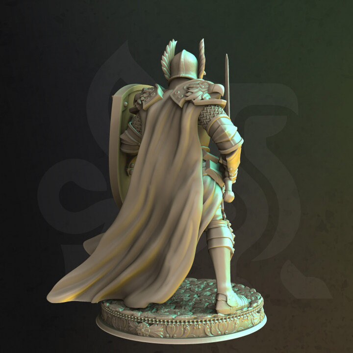 Human Paladin Fighter Sword &amp; Shield | Miniature | 28mm, 32mm, 54mm,75mm, 100mm Scales | Pathfinder Figure | DnD | Figurine unpainted |