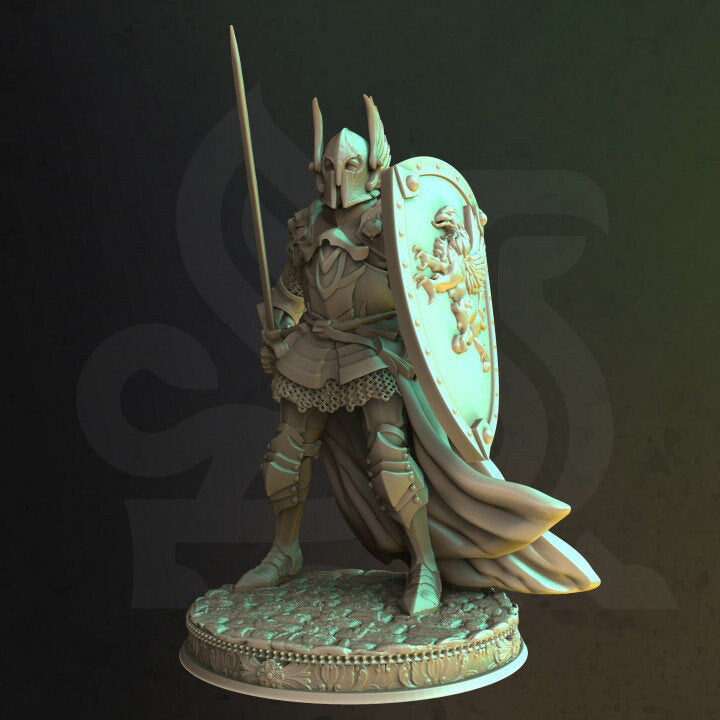 Human Paladin Fighter Sword &amp; Shield | Miniature | 28mm, 32mm, 54mm,75mm, 100mm Scales | Pathfinder Figure | DnD | Figurine unpainted |