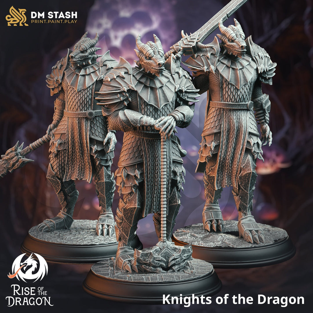 Dragonborn Paladin Fighter Knight (3 options) PC / NPC Miniature | 28mm, 32mm, 54mm, 75mm, 100mm Scales | Pathfinder Figure DnD | DM Stash |
