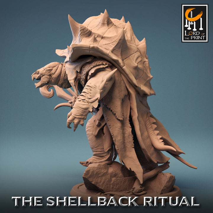 Tortle Druid Cleric Monk PC NPC | 28mm, 32mm,54mm,75mm, 100mm Scales | Player Character Mini -D&amp;D 5e Pathfinder Figurine | Lord of the Print