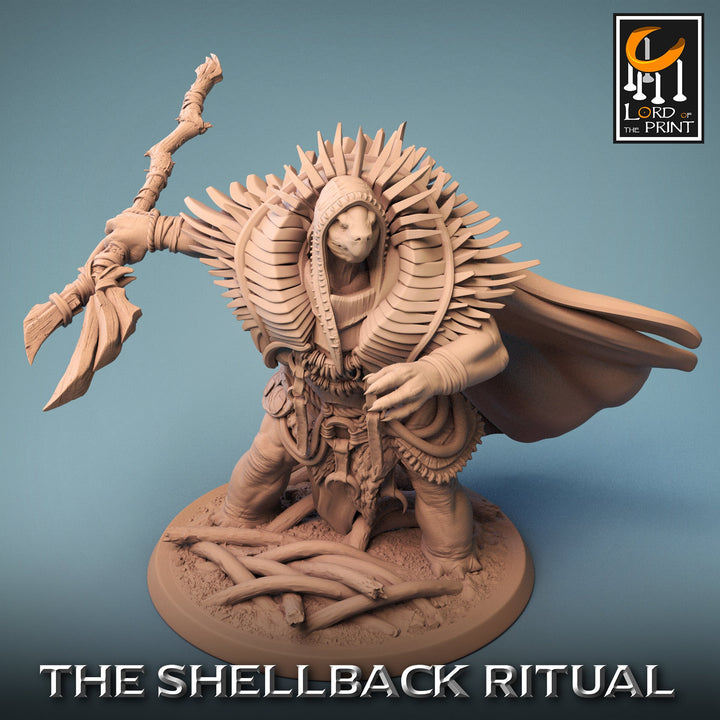 Tortle Druid Cleric Monk PC NPC | 28mm, 32mm,54mm,75mm, 100mm Scales | Player Character Mini -D&amp;D 5e Pathfinder Figurine | Lord of the Print