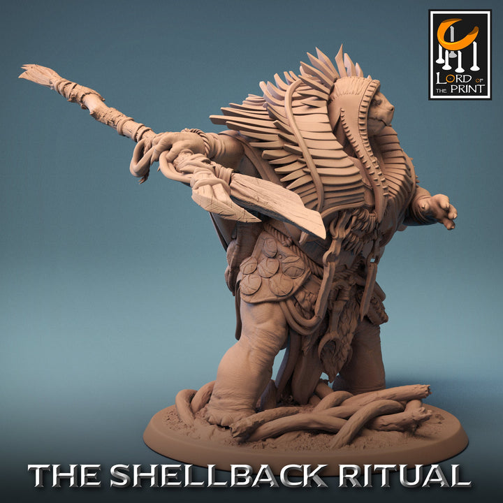 Tortle Druid Cleric Monk PC NPC | 28mm, 32mm,54mm,75mm, 100mm Scales | Player Character Mini -D&amp;D 5e Pathfinder Figurine | Lord of the Print