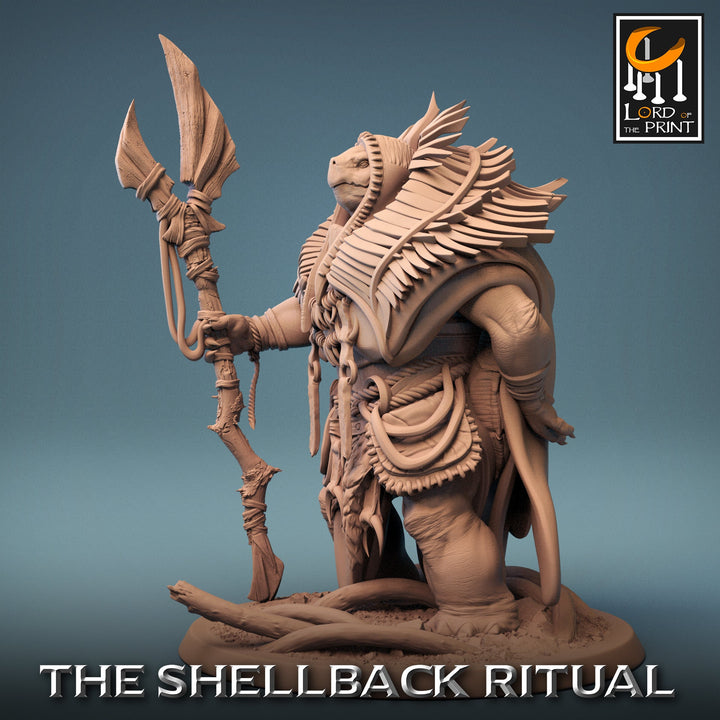 Tortle Druid Cleric Monk PC NPC | 28mm, 32mm,54mm,75mm, 100mm Scales | Player Character Mini -D&amp;D 5e Pathfinder Figurine | Lord of the Print