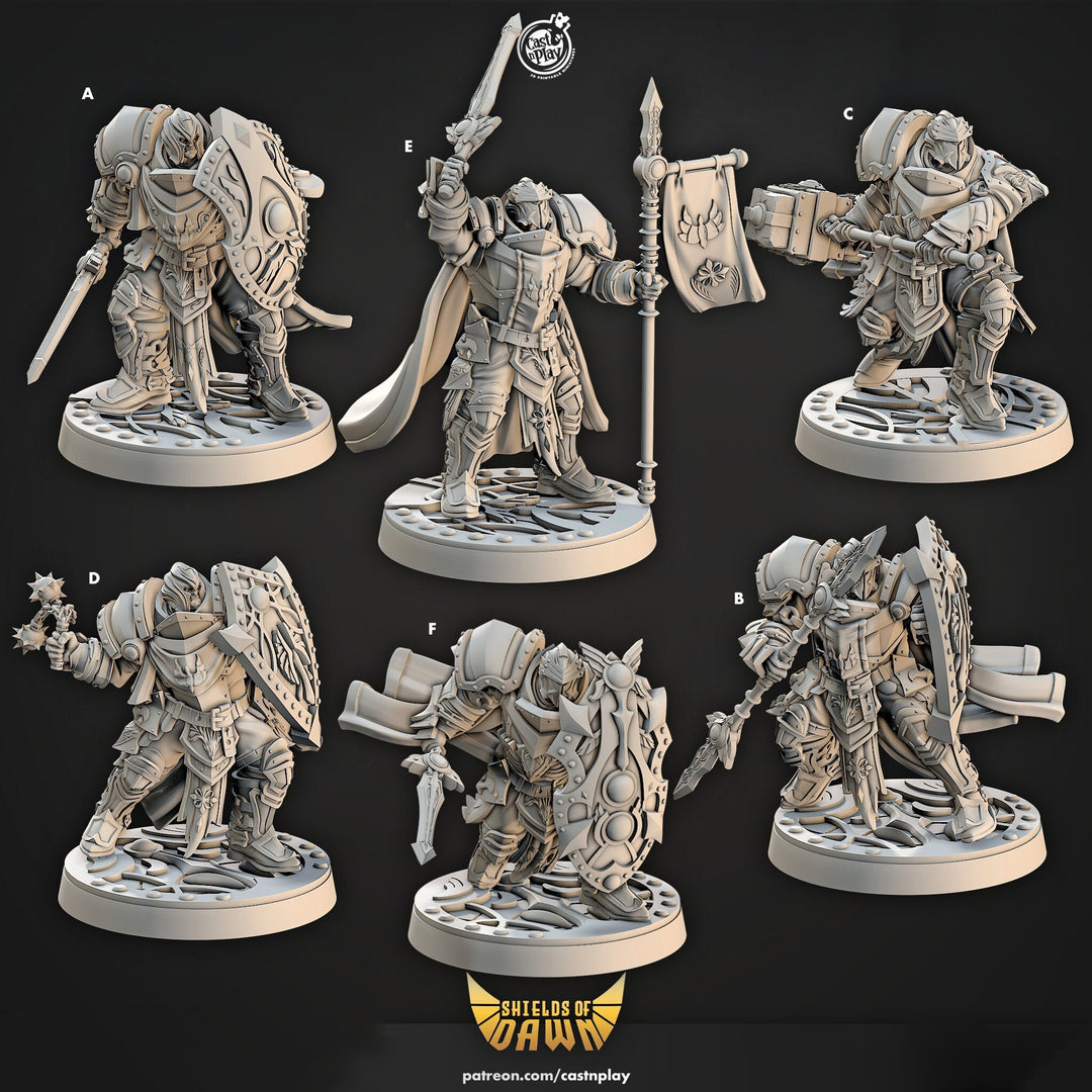 Paladins Fighters Clerics Full Plate mail D&D 5e Miniatures | Dungeons n Dragons|28mm,32mm,54mm,75mm,100mm | Pathfinder |Unpainted|CastnPlay