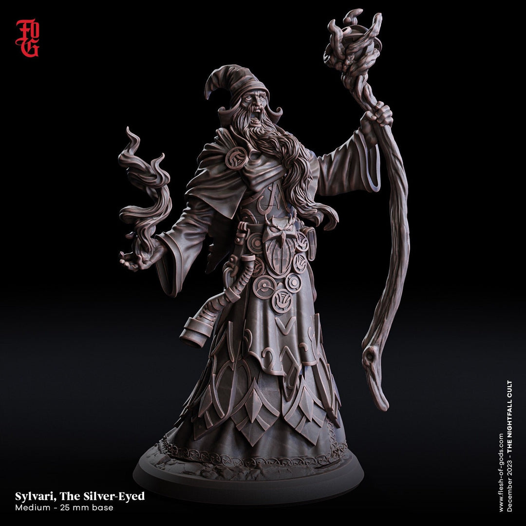 Wizard, Warlock, Sorcerer | 28mm, 32mm,54mm, 75mm Scale|100mmTall |Player Character Mini- Minis -D&D 5e Pathfinder Figurine | Flesh of Gods