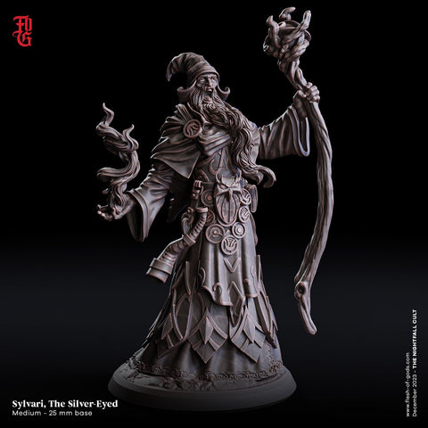 Wizard, Warlock, Sorcerer | 28mm, 32mm,54mm, 75mm Scale|100mmTall |Player Character Mini- Minis -D&D 5e Pathfinder Figurine | Flesh of Gods