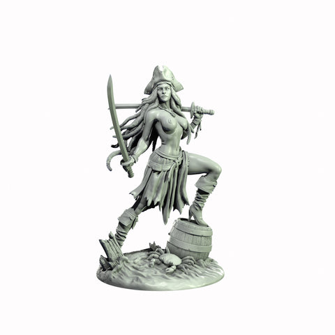 Human Female Pirate, Swashbuckler Rogue, Thief PC NPC Miniature NSFW Topless & Nude versions | 28mm,32mm,54mm,75mm,100mm Scales |DnD 5e