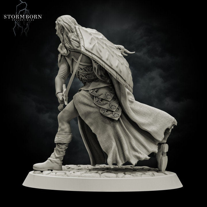 Elf Paladin with Sword and Shield and Elven Chainmail Armor PC NPC | 28mm,32mm,54mm, 75mm, 100mm Scales| Dungeons &amp; Dragons| Pathfinder |