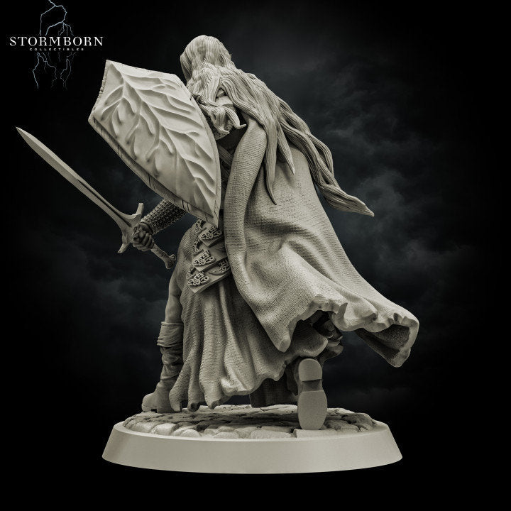Elf Paladin with Sword and Shield and Elven Chainmail Armor PC NPC | 28mm,32mm,54mm, 75mm, 100mm Scales| Dungeons &amp; Dragons| Pathfinder |