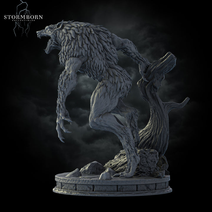 Werewolf Lycanthrope | Scales: 28mm,32mm,54mm,75mm,100mm | D&amp;D 5e Megaboss | Dungeons and Dragons | Pathfinder | Stormborn Collectibles