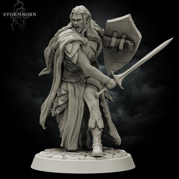 Elf Paladin with Sword and Shield and Elven Chainmail Armor PC NPC | 28mm,32mm,54mm, 75mm, 100mm Scales| Dungeons & Dragons| Pathfinder |