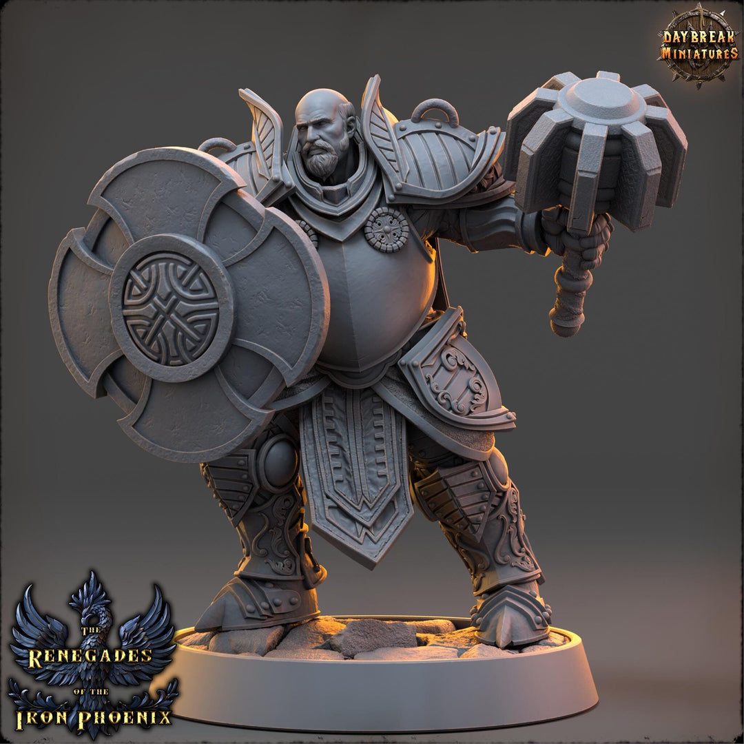 Life Domain Cleric, Paladin PC /NPC Unpainted | 28mm,32mm,54mm,75mm,100mm Scales | Dungeons and Dragons | Pathfinder | Daybreak Miniatures