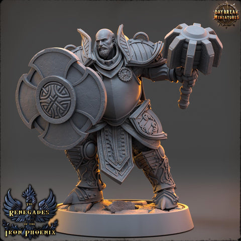 Life Domain Cleric, Paladin PC /NPC Unpainted | 28mm,32mm,54mm,75mm,100mm Scales | Dungeons and Dragons | Pathfinder | Daybreak Miniatures