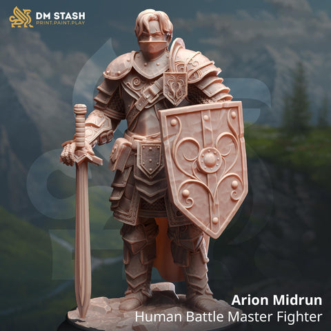 Male Human Fighter Battlemaster, Paladin PC / NPC | 28mm, 32mm,54mm, 75mm, 100mm Scales | Dungeons and Dragons | Pathfinder | DM Stash