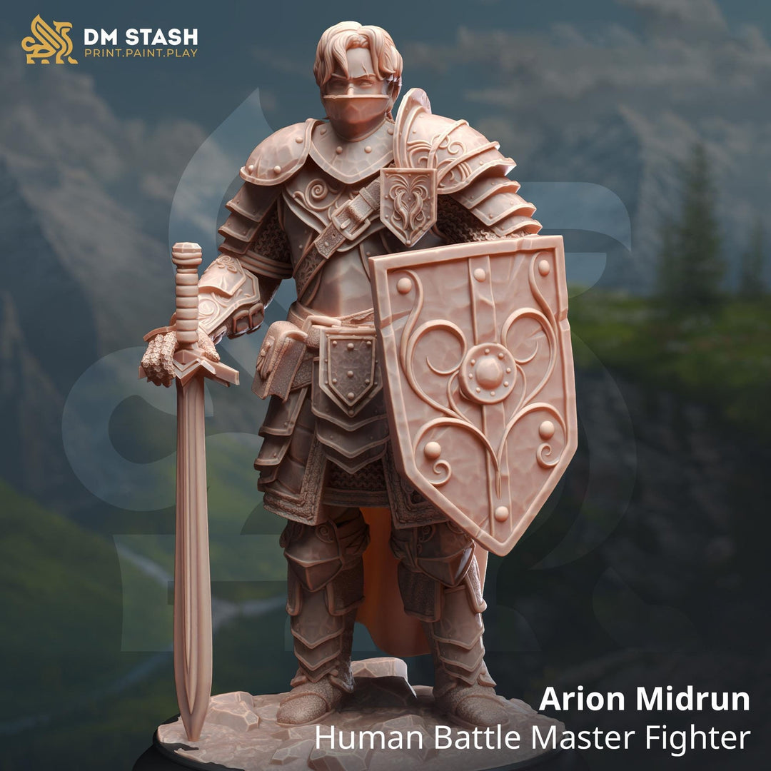 Male Human Fighter Battlemaster, Paladin PC / NPC | 28mm, 32mm,54mm, 75mm, 100mm Scales | Dungeons and Dragons | Pathfinder | DM Stash
