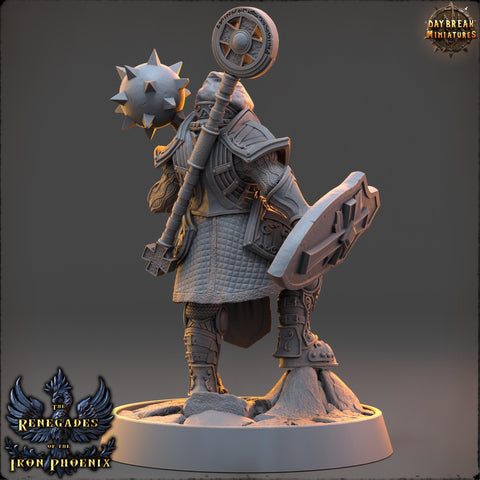 Female Cleric, Paladin PC /NPC Unpainted | 28mm,32mm,54mm,75mm,100mm Scales | Dungeons and Dragons | Pathfinder | Daybreak Miniatures
