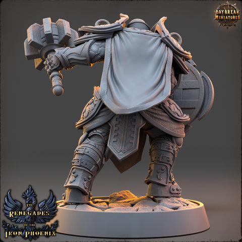 Light Domain Cleric, Paladin PC /NPC Unpainted | 28mm,32mm,54mm,75mm,100mm Scales | Dungeons and Dragons | Pathfinder | Daybreak Miniatures