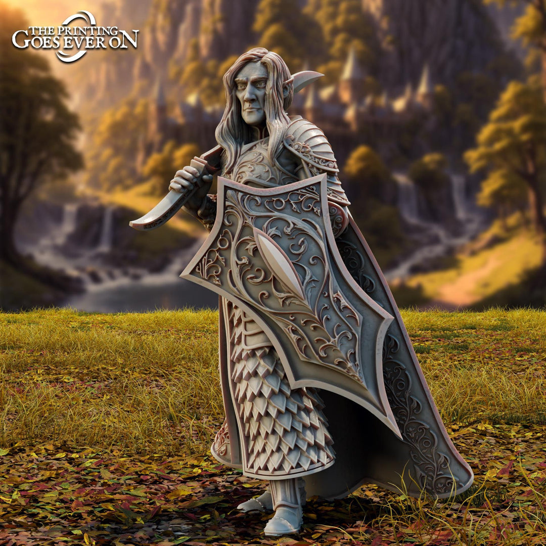 Elf Fighter, Paladin with Sword & Shield | Miniature | 28mm, 32mm,54mm,75mm, 100mm Scales | Pathfinder Figure | DnD | Figurine unpainted |