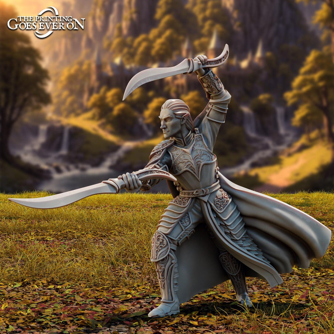 Elf Fighter, Paladin Dual Swords PC NPC | Miniature | 28mm, 32mm,54mm,75mm, 100mm Scales | Pathfinder Figure | DnD | Figurine unpainted |