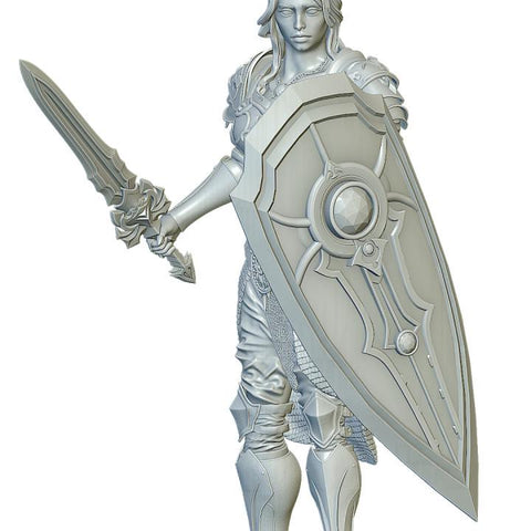 Female Paladin, Fighter Sword and Shield Plate Armor D&D 5e Mini | 28mm, 32mm,54mm,75mm,100mm Scales | Dungeons and Dragons Pathfinder |
