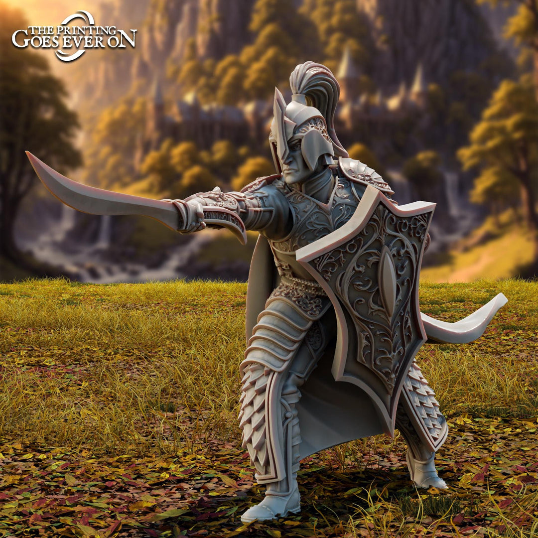 Elf Fighter, Paladin with Sword & Shield | Miniature | 28mm, 32mm,54mm,75mm, 100mm Scales | Pathfinder Figure | DnD | Figurine unpainted |