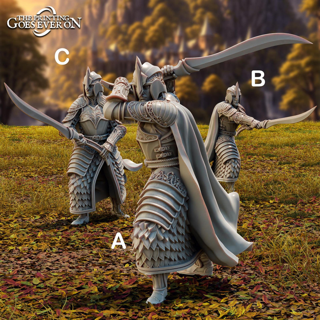 Elf Fighters, Paladin with Sword (3 poses )| Miniature | 28mm, 32mm,54mm,75mm, 100mm Scales | Pathfinder Figure | DnD | Figurine unpainted |