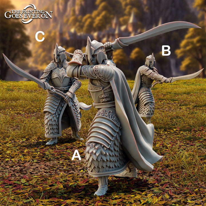Elf Fighters, Paladin with Sword (3 poses )| Miniature | 28mm, 32mm,54mm,75mm, 100mm Scales | Pathfinder Figure | DnD | Figurine unpainted |