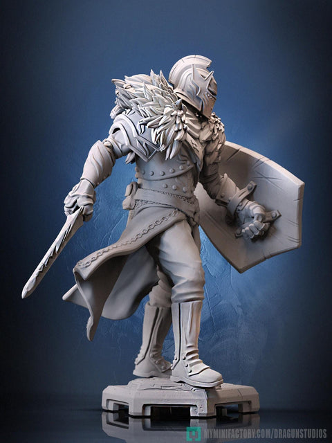 Human Paladin Fighter Sword & Shield |Unpainted Miniature| 28mm,32mm,54mm,75mm,100mm Scales | Pathfinder Figure | DnD | Figurine unpainted |
