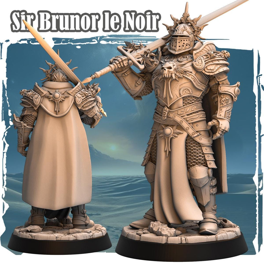 Human Paladin Fighter Sword &amp; Full Platmail |Miniature | 28mm, 32mm, 54mm,75mm,100mm Scales | Pathfinder Figure | DnD | Figurine unpainted |