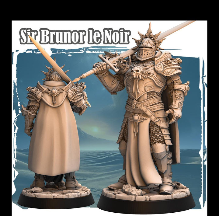 Human Paladin Fighter Sword &amp; Full Platmail |Miniature | 28mm, 32mm, 54mm,75mm,100mm Scales | Pathfinder Figure | DnD | Figurine unpainted |