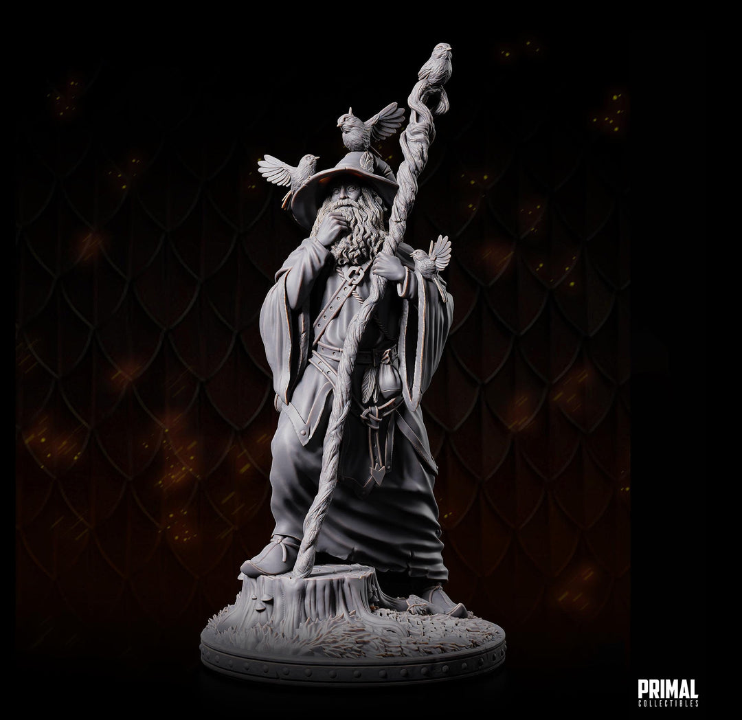 Human Male Wizard, Sorcerer, Warlock PC NPC Miniature | 28mm,32mm,54mm,75mm,100mm Scales | Dungeons and Dragons | Pathfinder | Battle Wizard