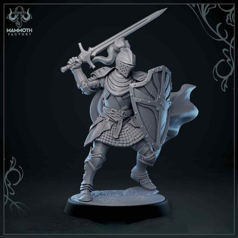 Human Paladin Fighter Sword & Shield | Miniature | 28mm, 32mm, 54mm,75mm, 100mm Scales | Pathfinder Figure | DnD | Figurine unpainted |